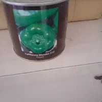 بذر فلفل دلمه