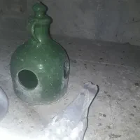 کبوترگم شده|حیوانات|قم, نیروگاه|دیوار