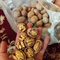 گردو ومغز گردو محلی کوهستان چرب چرب