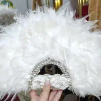 بادبزن عروس