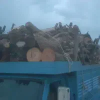 خرید چوب