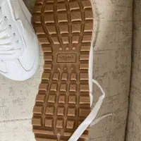 کتانی|کیف، کفش، کمربند|تنکابن, |دیوار