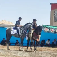 اسب سرودم گیر|اسب و تجهیزات اسب‌سواری|رباط‌کریم, انجم آباد|دیوار