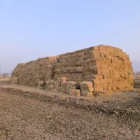 یونجه انباری|عمدهفروشی|ایواوغلی, |دیوار