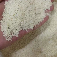 برنج ممان میانه|خوردنی و آشامیدنی|قرچک, داوود آباد|دیوار