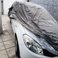 ساندرو ۱۸۹۰۰تا کار