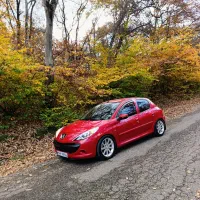 ۲۰۷دنده مدل۱۴۰۲