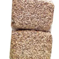 مغز گردو دندونه نو