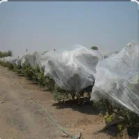 کاور« ضدسرمازدگی »|خدمات باغبانی و درختکاری|مرودشت, فاز اول شهرک فرهنگیان|دیوار