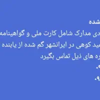 مفقودی مدارک