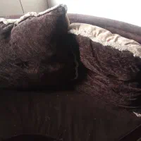 دو دست مبل|مبلمان خانگی و میز عسلی|شهمیرزاد, |دیوار