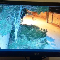 دوربین مداربسته تکنولوژی ip مدلS.vision/PS604|دوربین مداربسته|شهرکرد, |دیوار