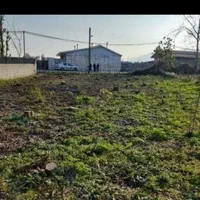 فروش ۴۵۲متر زمین مسکونی بره اسفالت|فروش زمین و ملک کلنگی|شاندرمن, |دیوار