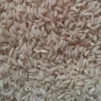 فروش برنج چمپا محلی