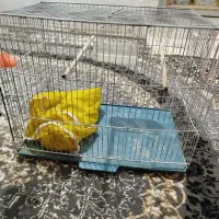 قفس پرنده
