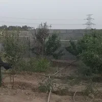 فروش باغ  ۲۰۰ و ۳۰۰ متری در شهرک خور هشتگرد|فروش زمین و ملک کلنگی|هشتگرد, خور|دیوار