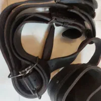 هیکلی
