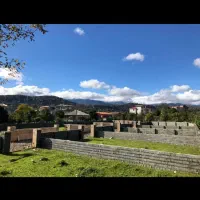 زمین // سند تک برگ //