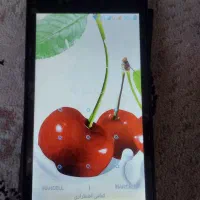 گوشی جی فون نو فقط روشن شده