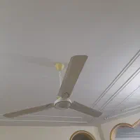 پنکه