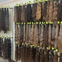خریدار موهای رنگی و خانم با بهترین قیمت