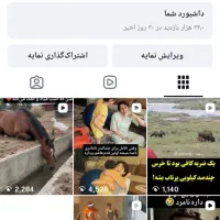 پیج اینستاگرام 13هزار فالور