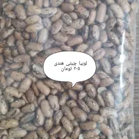 پخش حبوبات لوبیا نخود عدس لپه لوبیا چیتی|خوردنی و آشامیدنی|قم, گلزار|دیوار