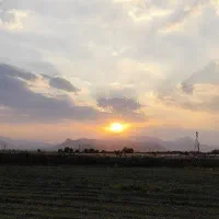 اجاره 4 هکتار زمین کشاورزی بسیار مرغوب