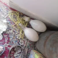لامپ وجراغ|لامپ و چراغ|قم, هفت تیر|دیوار