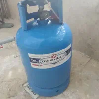 پیک نیک۵/۵کیلویی