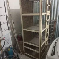 جفت کن جفت کنی قفس چوبی گنجه کبوتر کفتر|لوازم جانبی حیوانات|محمدشهر, یزدیها|دیوار