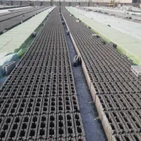 بلوک سیمانی سبک پوکه و سنگین استاندارد(ثامن لیکا)|مصالح و تجهیزات ساختمان|پاکدشت, پاکدشت (مامازند)|دیوار