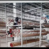 قالیشویی ومبلشویی فرشتگان مهرآباد گیلاوند|خدمات نظافت|رودهن, |دیوار