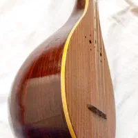 سه تار الگو هاشمی