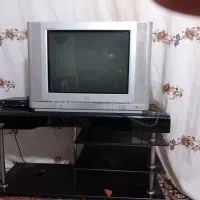 تلویزون وزیر تلویزونی