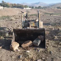 بیل تراکتور رومانی
