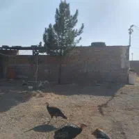 فروش باغ شادمهر|فروش خانه و ویلا|تربتحیدریه, پائین ولایت|دیوار