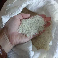 برنج فجر اصل مینودشت