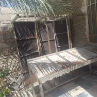 میز میوه فروشی