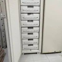یخچال و فریزر دو قلو مارک ارج