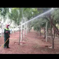 سمپاشی هرس علفزنی