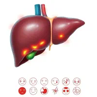 بانوان محترم کار همراه با اموزش طب سنتی