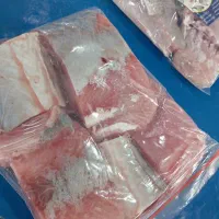 ماهی ومیگو|ماهی|قشم, |دیوار