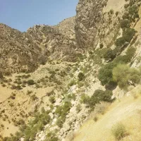 تور گردشگری
