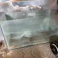 آکواریوم و جوجه مرغ|حیوانات مزرعه|یزد, |دیوار