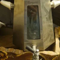 کتری سالم برند بریگامو ۴ لیتری استیل