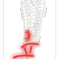 فروش باغ زرد الو