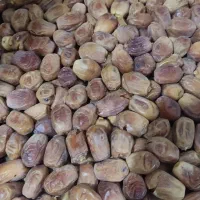 تخمه تخمه کدو خرما کشمش خشکبار بادوم زمینی|عمدهفروشی|رباطکریم, نصیرشهر|دیوار