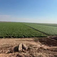 نیازمند کامیون کمپرسی برای خاکبرداری