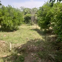 علف زنی بادستگا